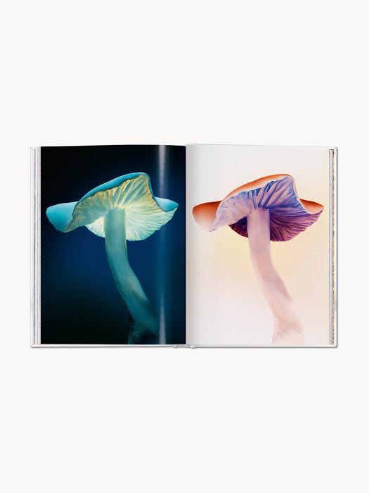 Coffee Table Book The Gourmand Mushroom English Edition