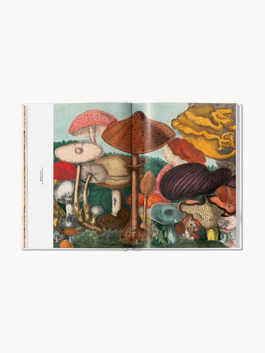 Coffee Table Book The Gourmand Mushroom English Edition