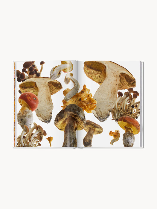 Coffee Table Book The Gourmand Mushroom English Edition