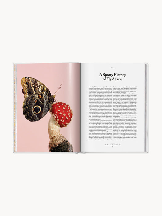 Coffee Table Book The Gourmand Mushroom English Edition