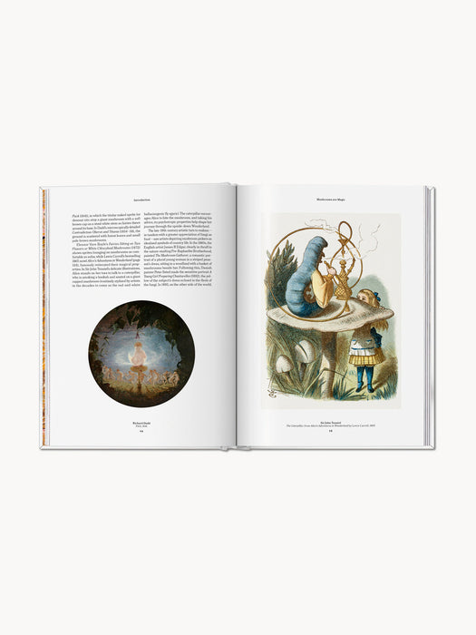 The Gourmand Mushroom Coffee Table Book, English Edition