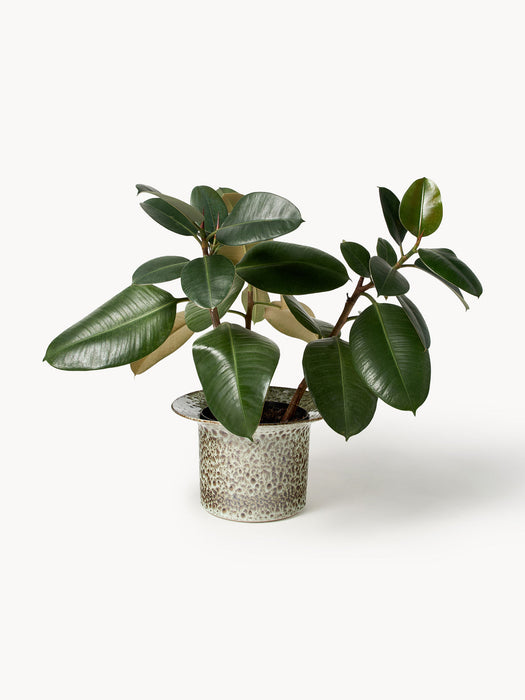 Balou Handmade Reactive Glaze Cover Pot, H 19 cm