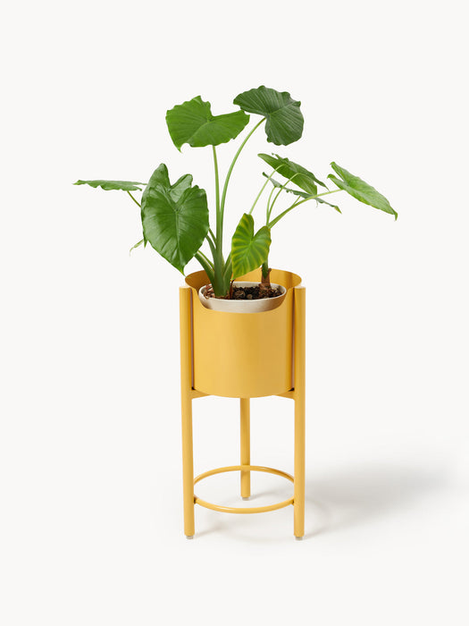 Taru Metal Cover Pot, H 45 cm