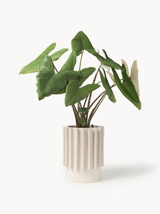 Valeska Cover Pot with Ribbed Surface, H 41 cm