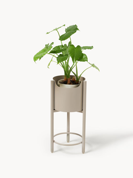 Taru Metal Cover Pot, H 45 cm