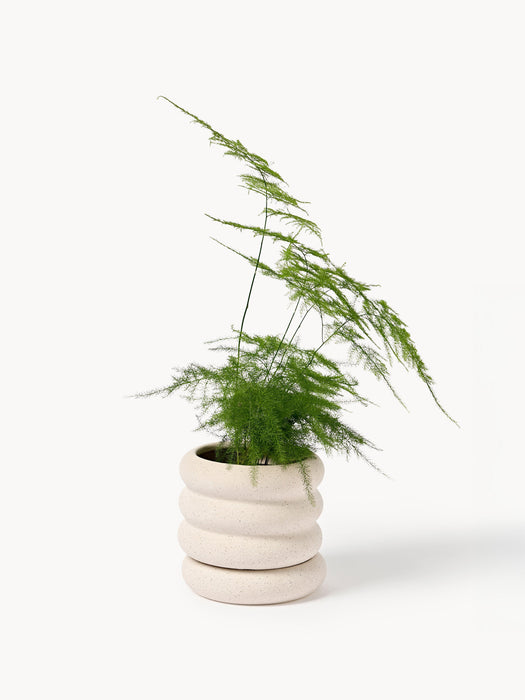 Plant Pot Rudi with Saucer H 12 cm