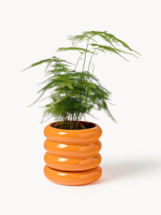 Plant Pot Rudi with Saucer H 12 cm