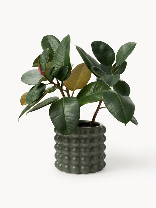 Stoneware Cover Pot Bob H 21 cm