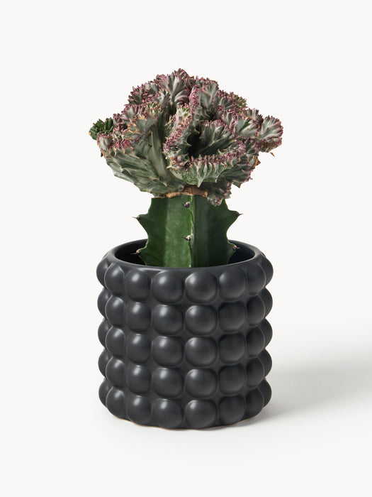 Stoneware Cover Pot Bob H 15 cm