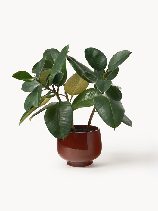 Cover Pot Ravi H 18 cm
