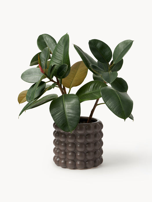 Stoneware Cover Pot Bob H 21 cm