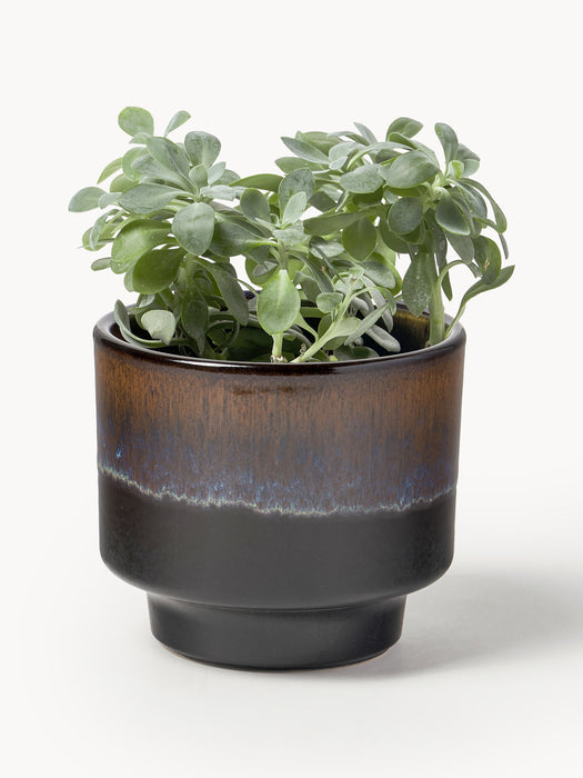 Glazed Cover Pot Solis H 11 cm
