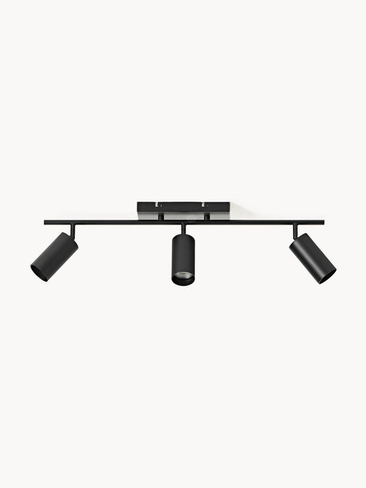 Cassandra Ceiling Spotlight