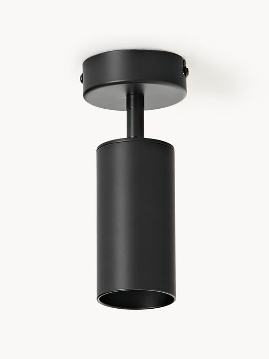 Cassandra Ceiling Spotlight