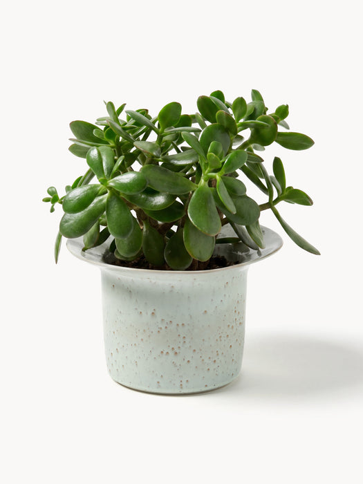 Handmade Reactive Glaze Cover Pot Balou H 15 cm