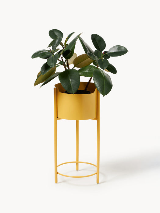Taru Metal Cover Pot, H 65 cm