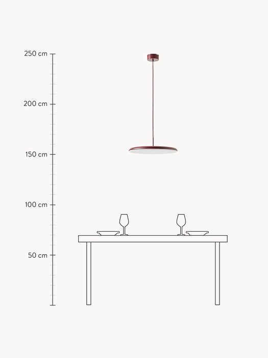 LED Pendant Light Martina