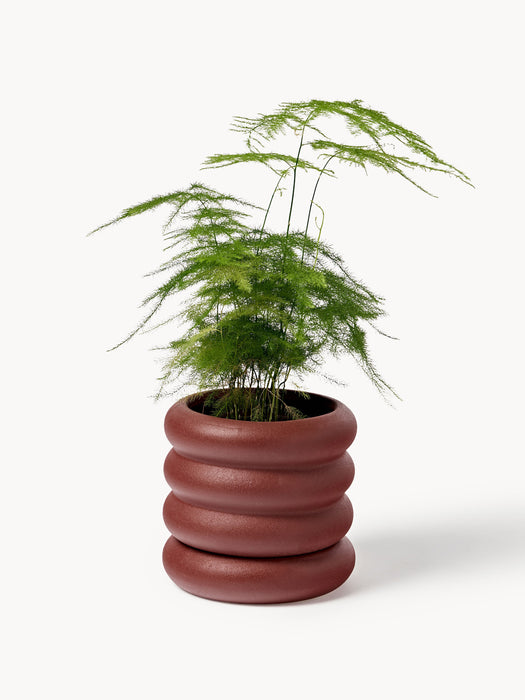 Plant Pot Rudi with Saucer H 12 cm