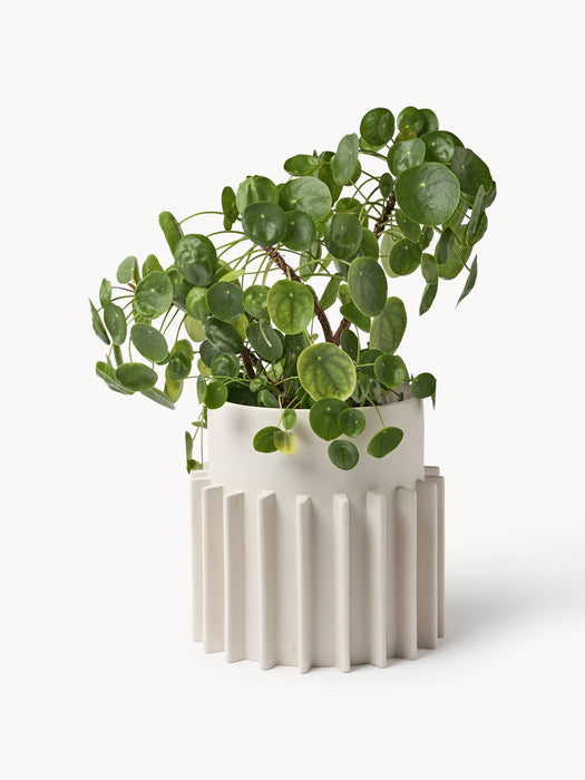 Valeska Cover Pot with Ribbed Surface, H 30 cm