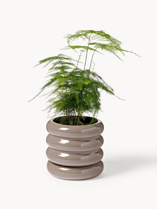 Plant Pot Rudi with Saucer H 12 cm