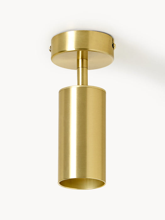Cassandra Ceiling Spotlight