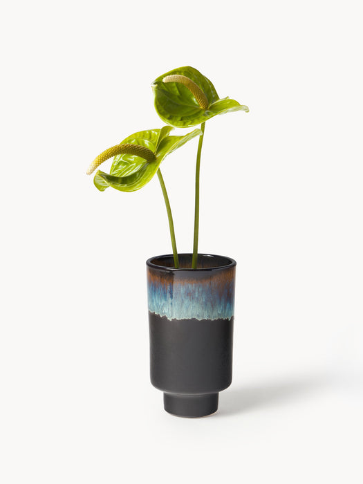 Vase Solis H 22 cm
