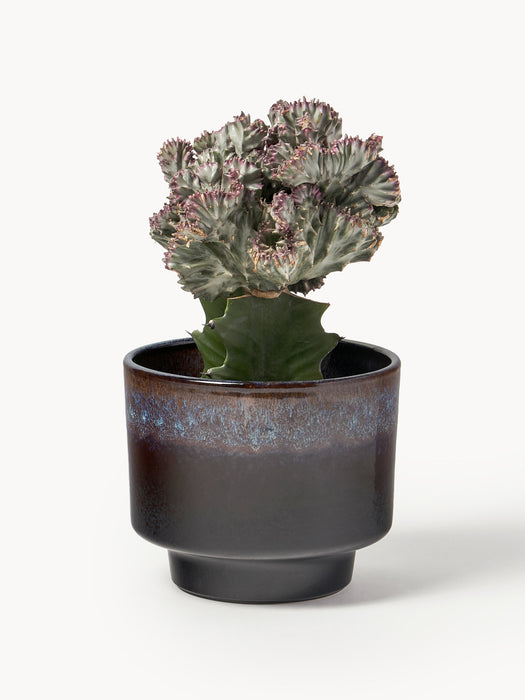 Glazed Cover Pot Solis H 13 cm