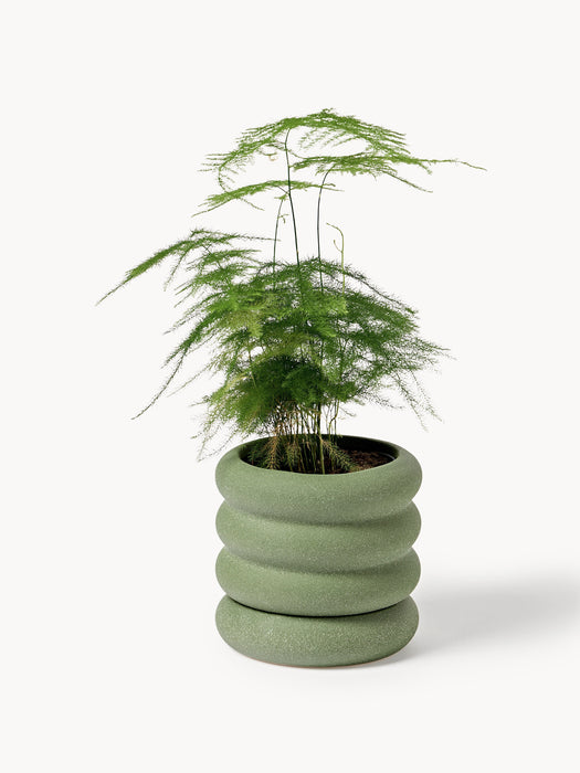 Plant Pot Rudi with Saucer H 12 cm