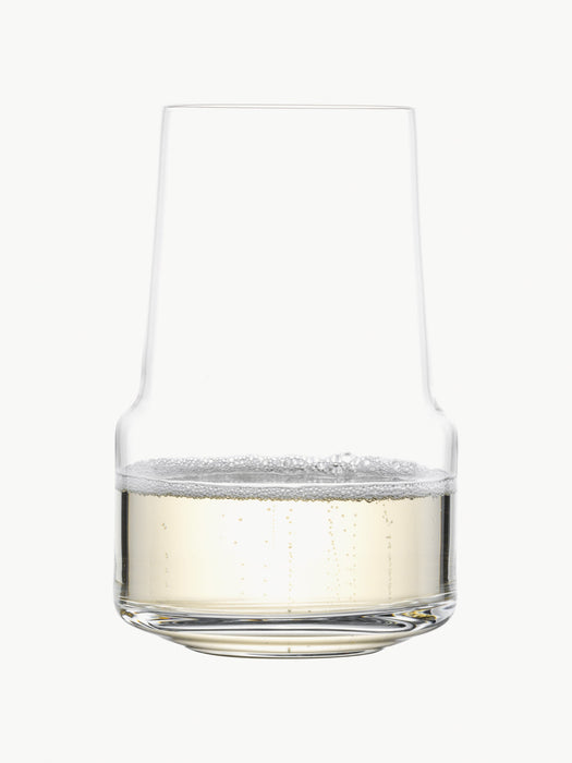Champagne Tumblers Level Set of 2