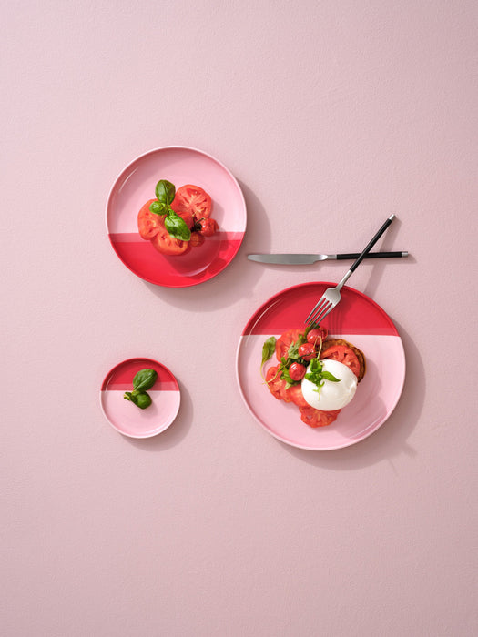 Dinner Plate Joy