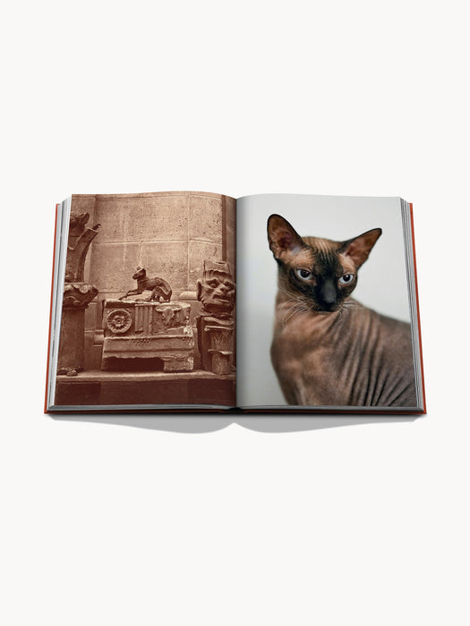 Chic Cats Coffee Table Book
