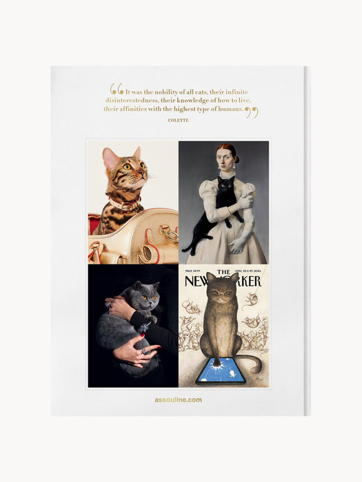 Chic Cats Coffee Table Book