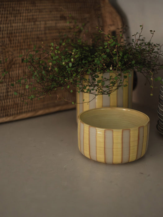 Decorative Ceramic Bowl Line