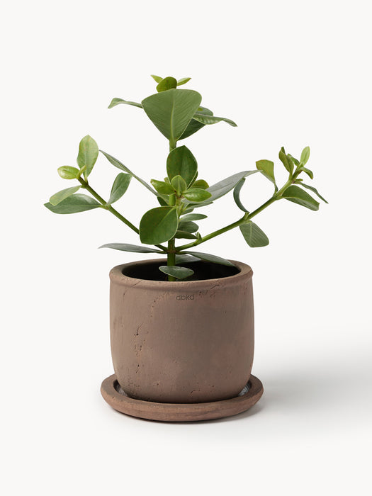 Outdoor Terracotta Plant Pot Terra H 18 cm
