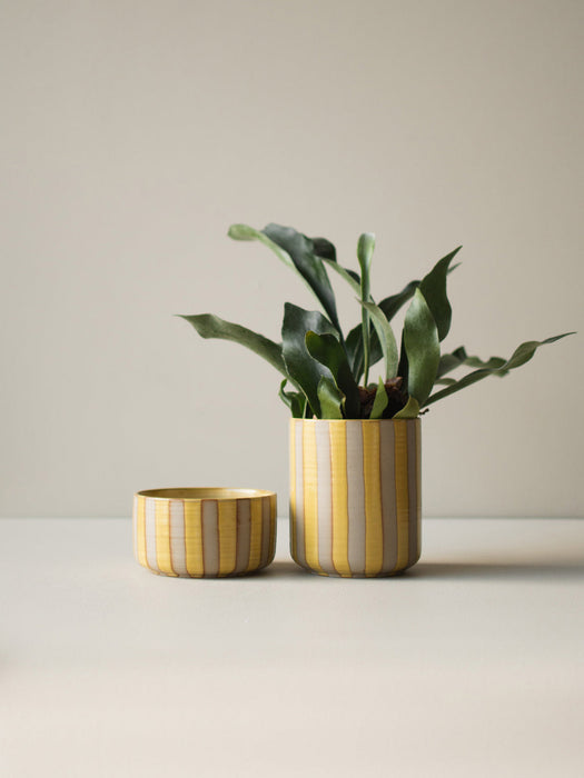 Ceramic Cover Pot Line