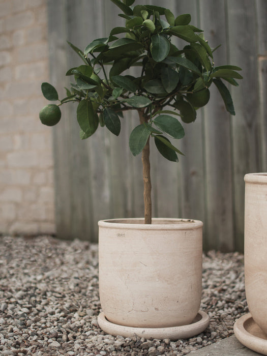 Outdoor Terracotta Plant Pot Terra, H 26 cm