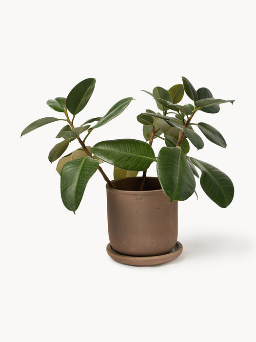 Outdoor Terracotta Plant Pot Terra H 26 cm