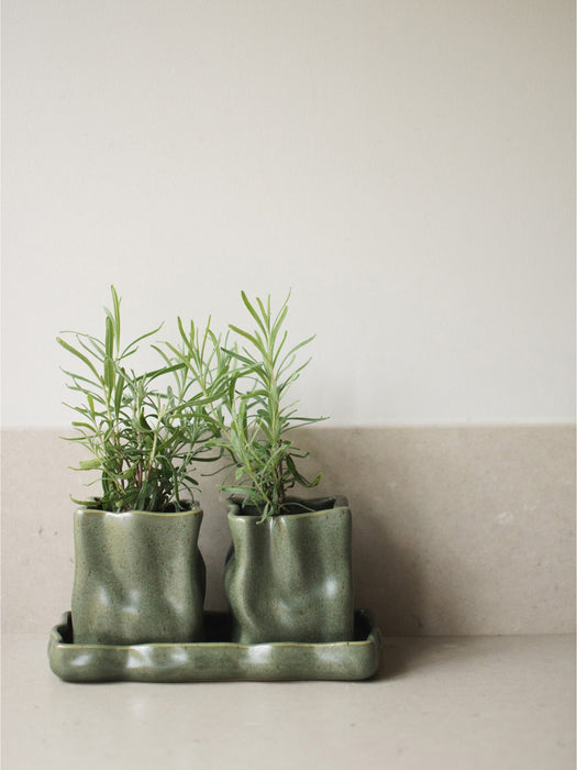 Kitchen Storage Jars Herb with Tray Set of 3