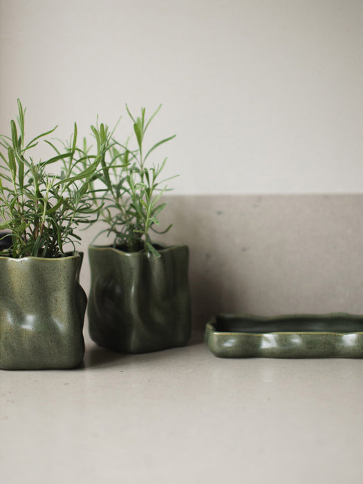 Kitchen Storage Jars Herb with Tray Set of 3