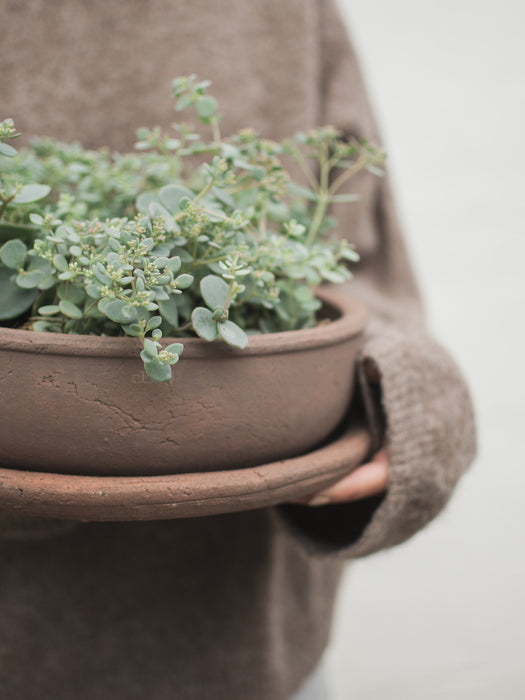 Outdoor Terracotta Plant Pot Terra H 11 cm