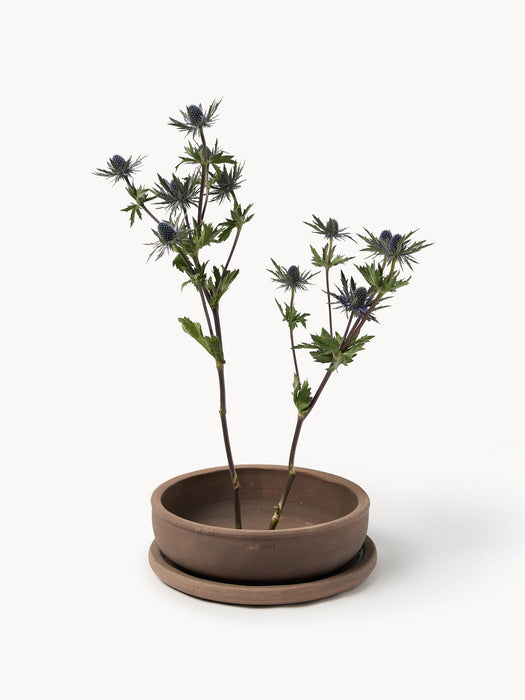 Outdoor Terracotta Plant Pot Terra, H 11 cm