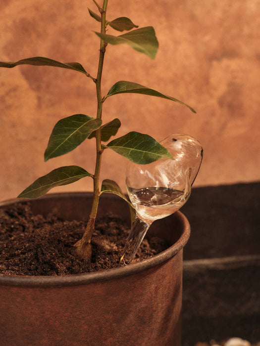 Mouth-Blown Water Globes Mercury Set of 2