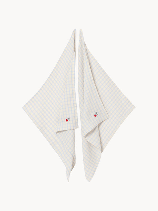 Cotton Muslin Cloths Sky Blue Set of 2