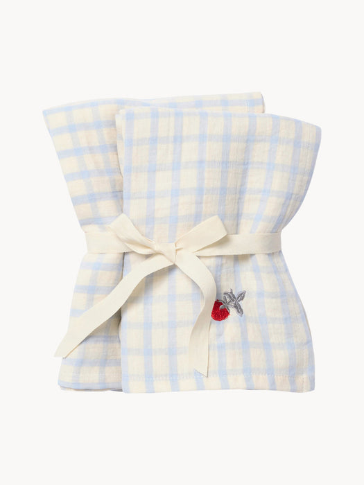 Cotton Muslin Cloths Sky Blue Set of 2