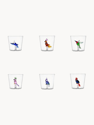 Talking Trees Handmade Borosilicate Tumblers, Set of 6