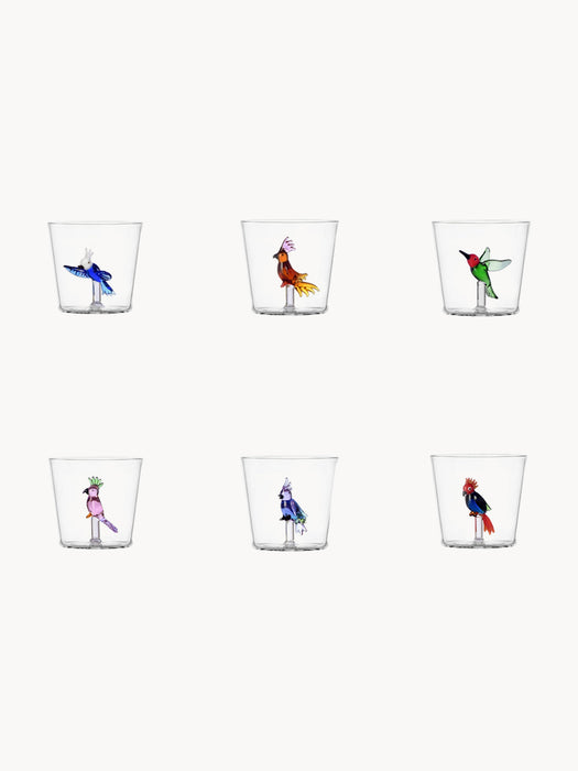 Talking Trees Handmade Borosilicate Tumblers, Set of 6