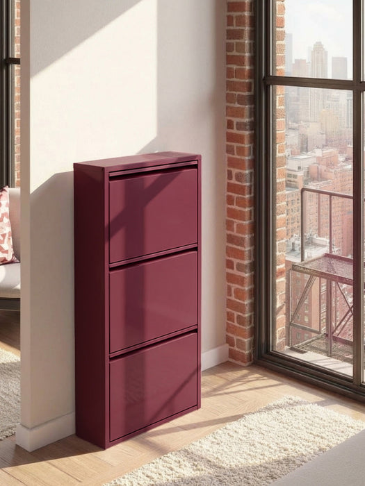 Fold Out Shoe Cabinet Caruso