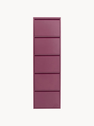 Fold Out Shoe Cabinet Caruso