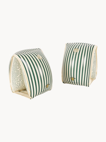 Green Stripe Water Wings, in various sizes