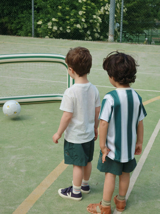 Green Stripe Inflatable Goal with Ball